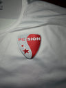 Écusson FC Sion